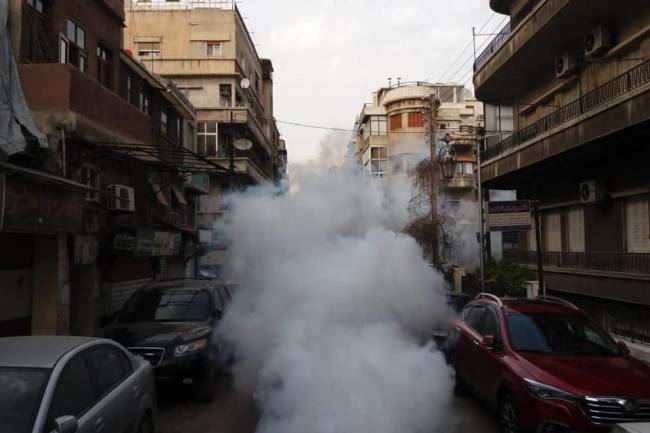 مع ازدياد انتشار الحشرات . محافظة دمشق تعلن عن برنامج أسبوعي لرش المبيدات يغطي كافة أحياء المدينة 