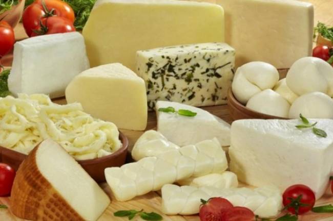 جمعية الألبان والأجبان: ارتفاع الأسعار ليس بسبب التصدير وإنما لزيادة أسعار الأبقار والأعلاف وكلف النقل والحليب المجفف المستورد 