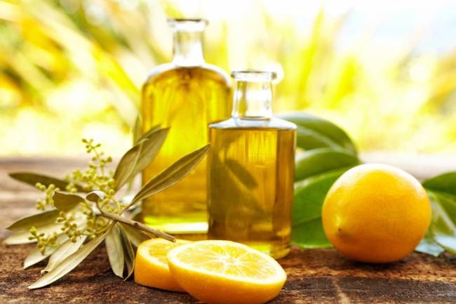 غرفة زراعة دمشق تتوقع انخفاض سعر تنكة الزيت إلى 30 ألف ليرة وكيلو الليمون إلى 300 ليرة قريباً