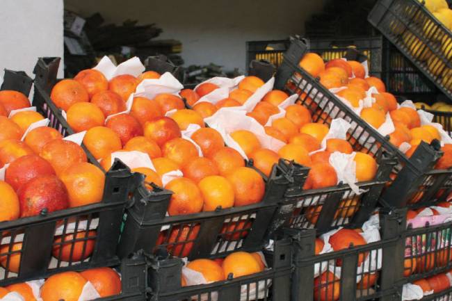 هيئة الصادرات : صرف 328 مليون ليرة دعم للحمضيات المصدرة في الموسم الماضي قريباً 