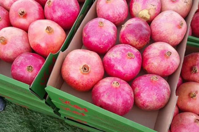 نحو 30 شاحنة بضائع سورية تدخل العراق يومياً حمولتها الأكبر من الرمان 