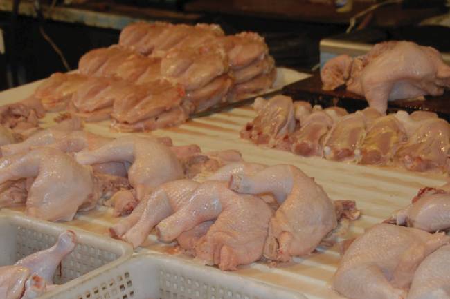 ارتفاع سعر الفروج 30% خلال الأسبوع الأول من رمضان ولا توقعات بإنخفاض قريب للأسعار 