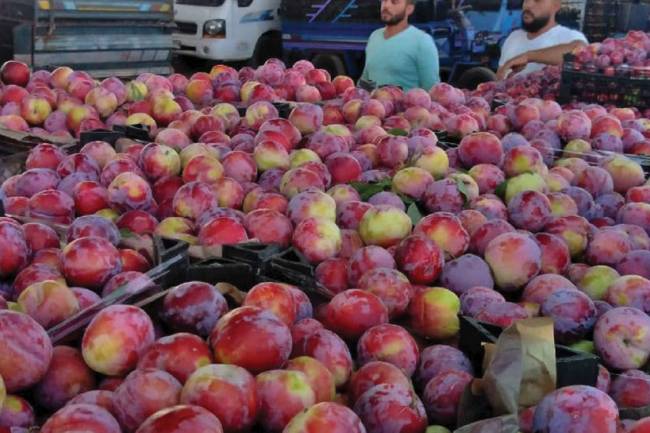 اتحاد غرف التجارة: لا تأثير لتصدير الفواكه في ارتفاع أسعارها الحالي 