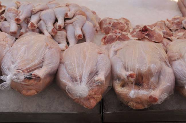 عضو لجنة مربي الدواجن : أسعار الفروج سترتفع بشكل أكبر خلال شهر 