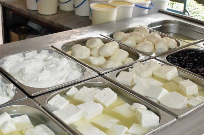 وزير التموين : تسعيرة مخفضة قريباً للألبان والاجبان والبيض وعقوبات قاسية لمن لن يلتزم بها 