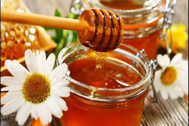 نحالين : نبيع كيلو العسل بـ10 آلاف ليرة ..كشتو : انتاجنا هذا العام نحو 3000 طن وهنالك مشاكل بتسويقه 