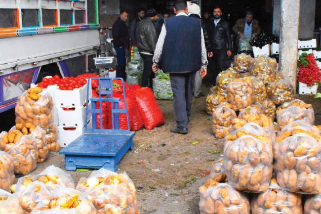 28 براد فواكه يومياً إلى دول الخليج و10 برادات إلى العراق … عضو لجنة مصدري الخضار:ارتفاع أجور النقل رفعت الأسعار في السوق