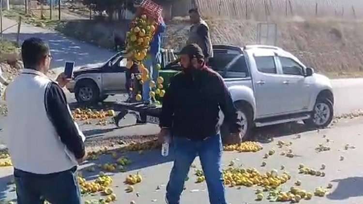 نزولاً عند رغبة مواطنيه..الأردن يمنع استيراد الحمضيات والبندورة والخيار من سورية!