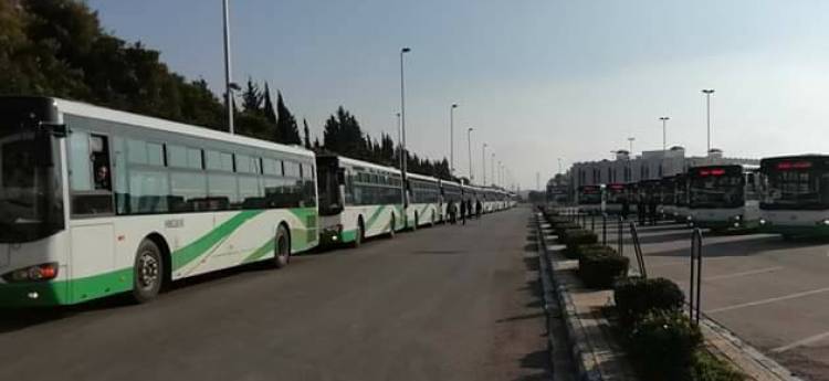 وصول 50 باص جديد وبدء عملها على الخطوط خلال أيام 