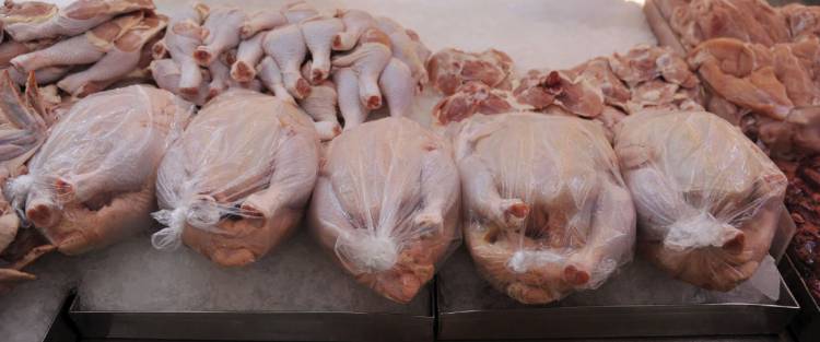 عضو لجنة مربي الدواجن : أسعار الفروج سترتفع بشكل أكبر خلال شهر 